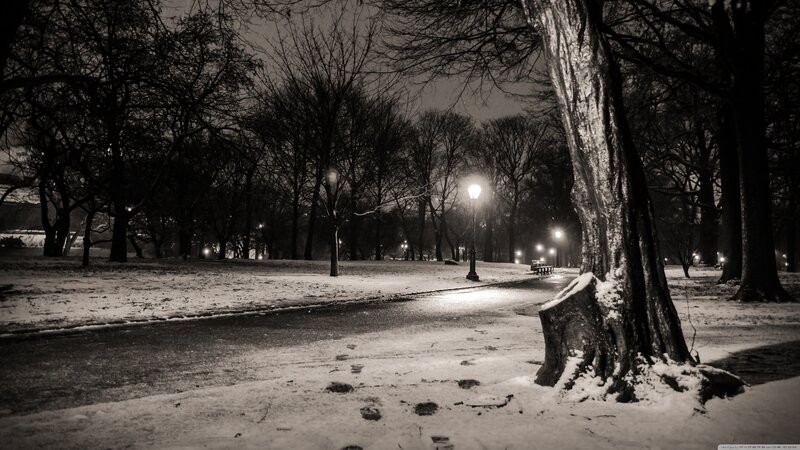 Snowy park at night