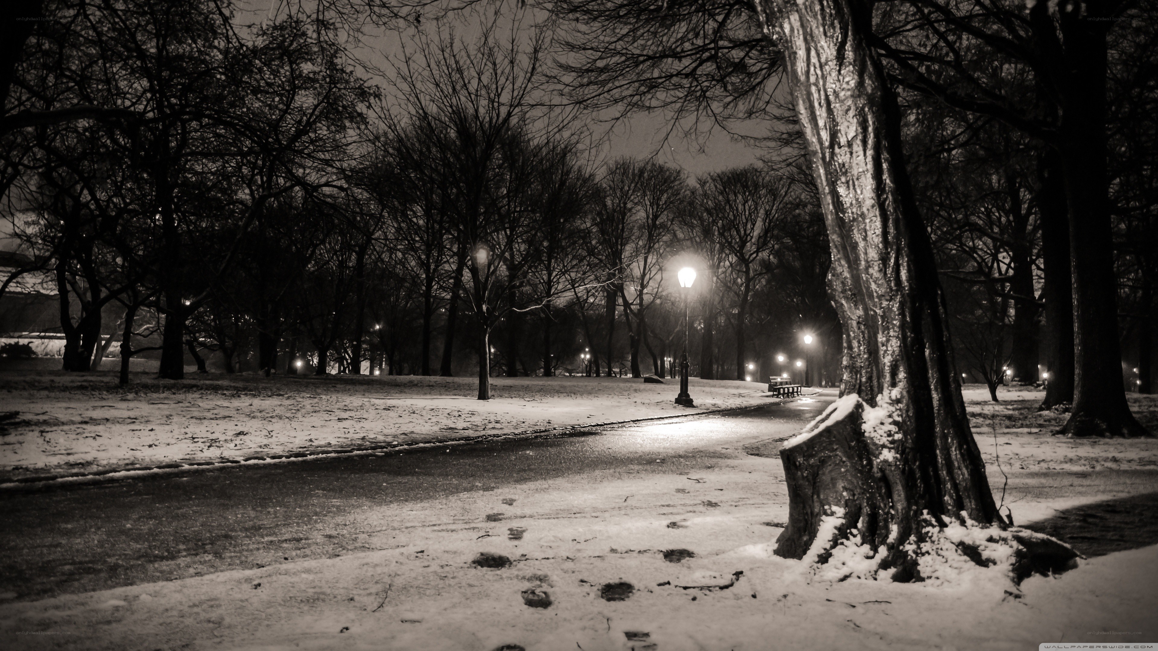 Snowy park at night
