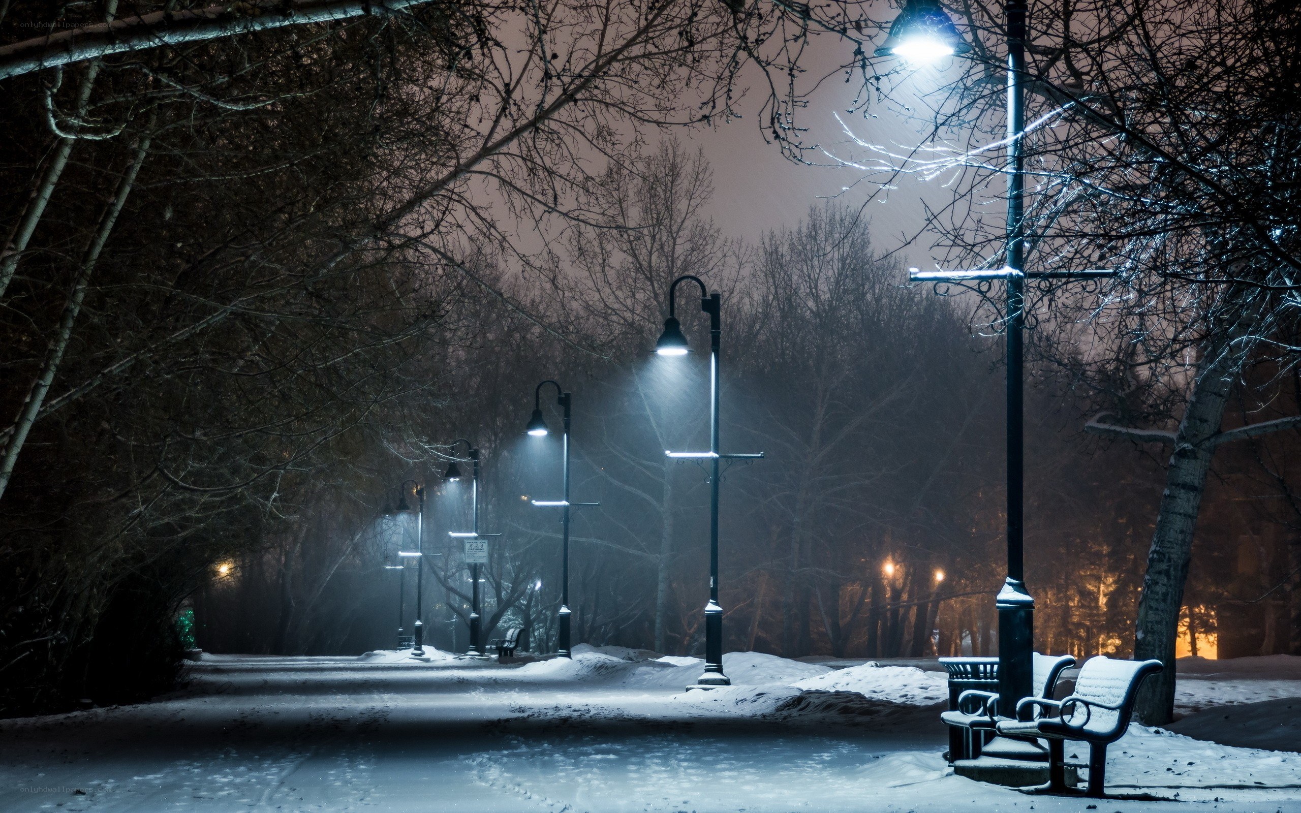 Snowy park at night