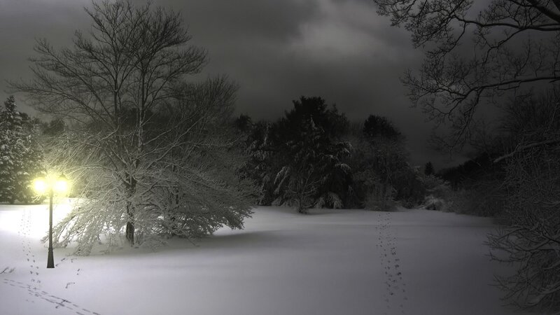 Snowy park at night