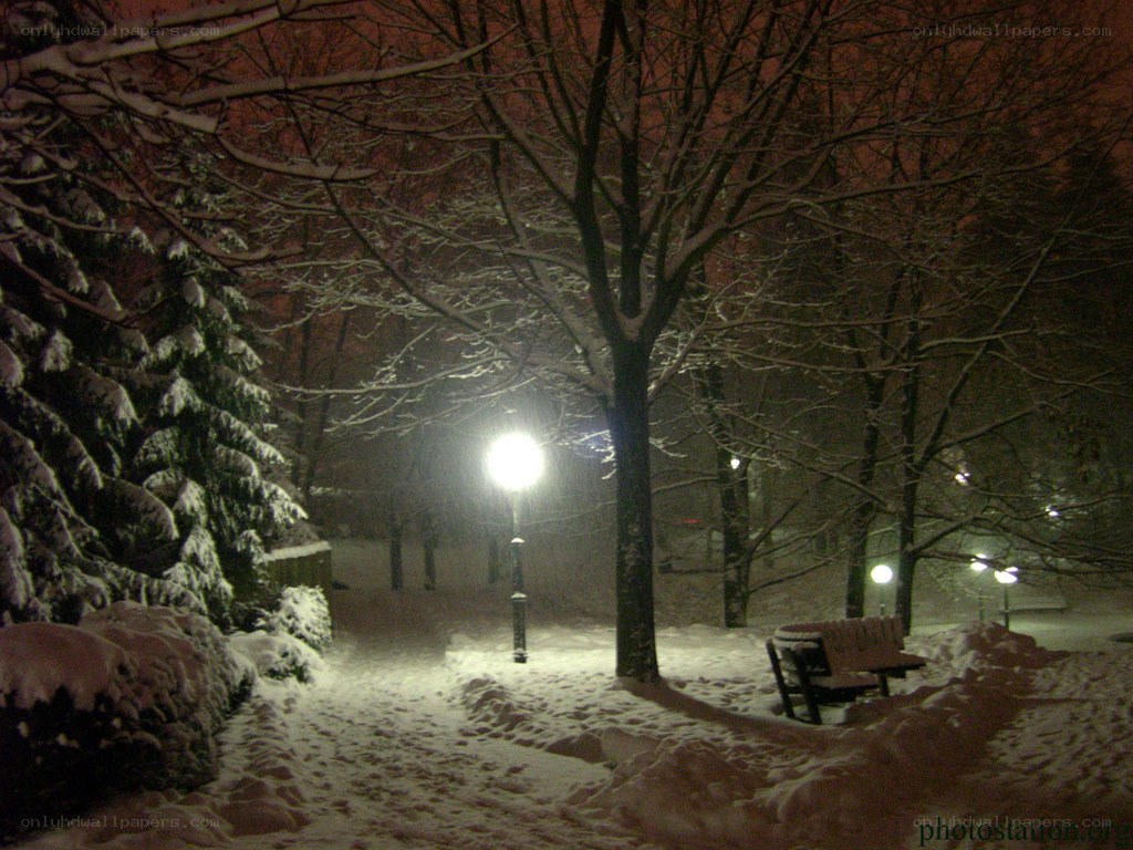 Snowy park at night