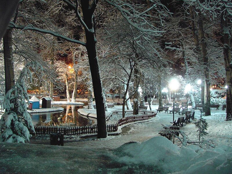 Snowy park at night