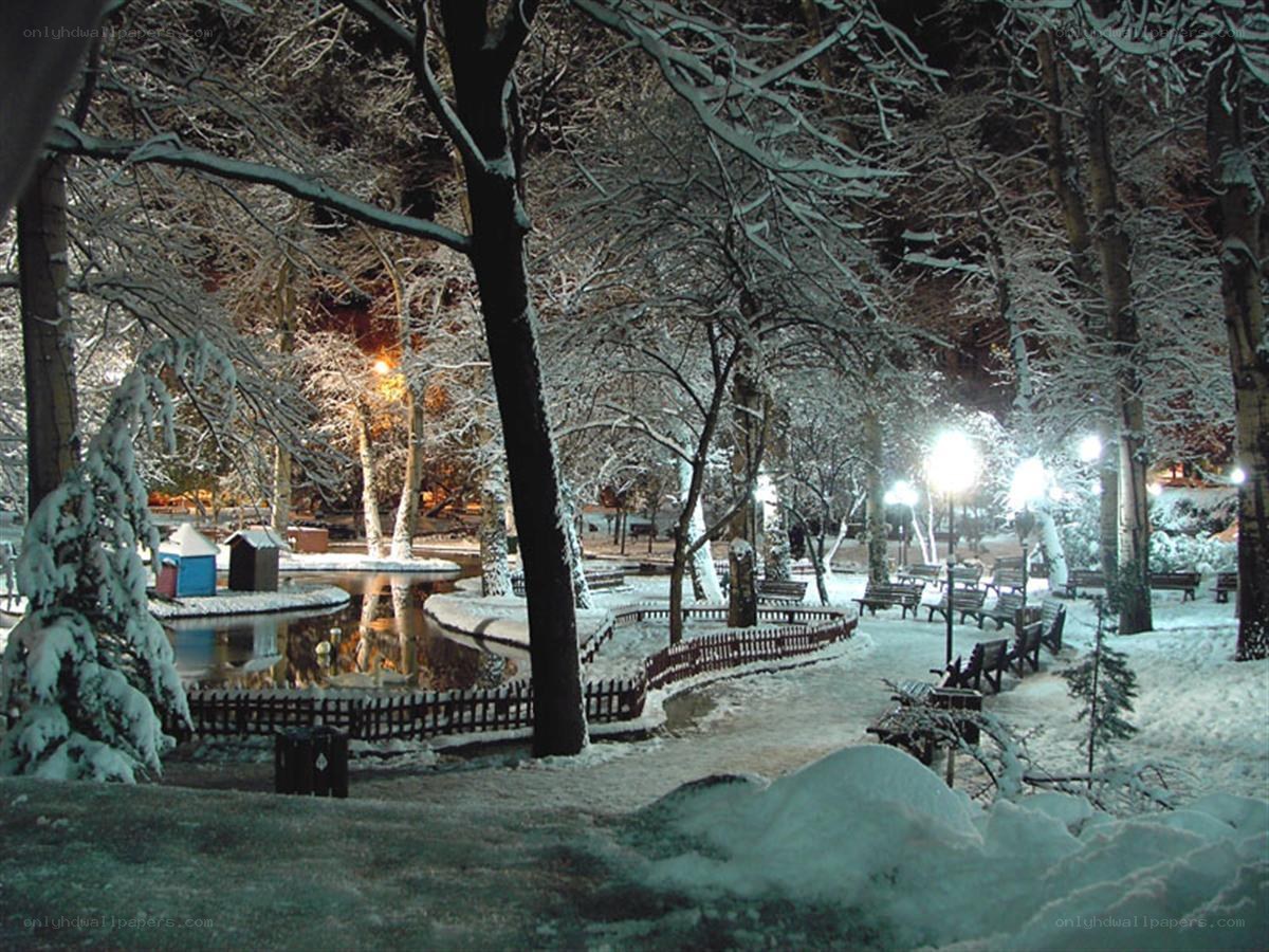 Snowy park at night