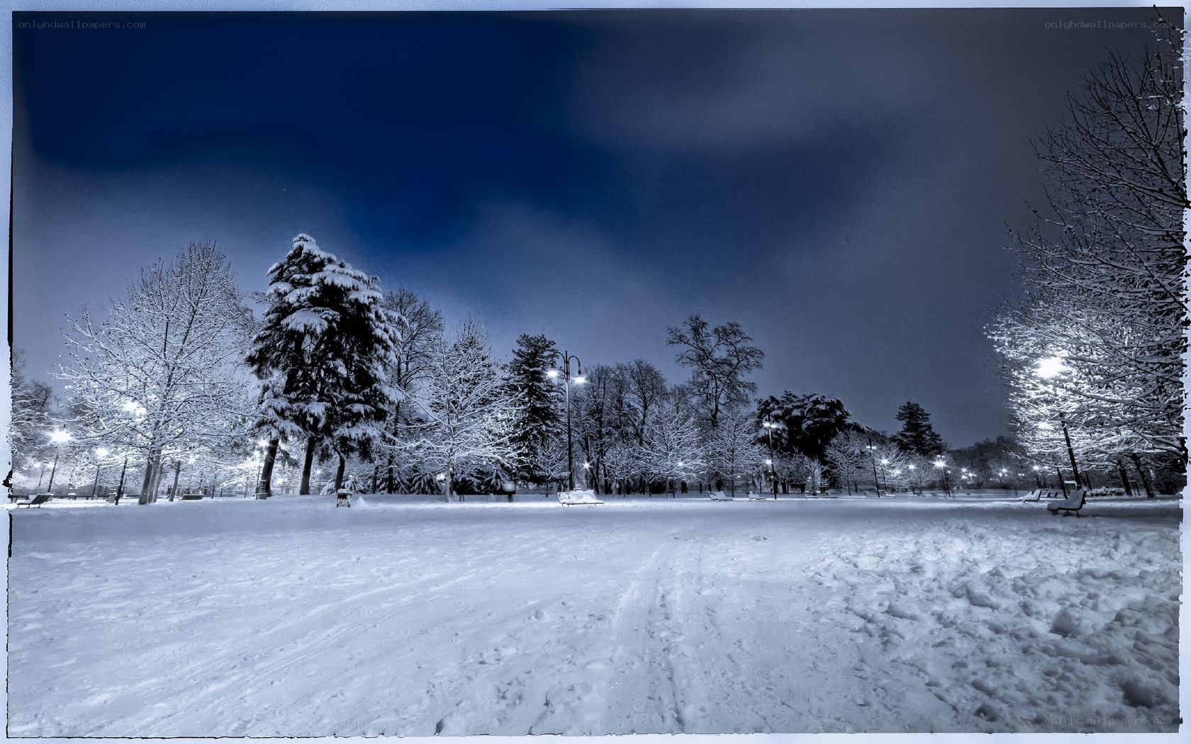 snowy park at night
