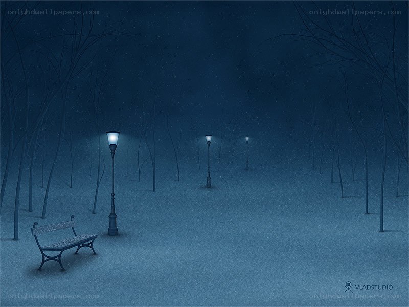 Snowy park at night