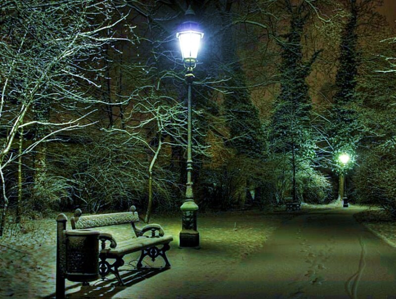 Snowy park at night