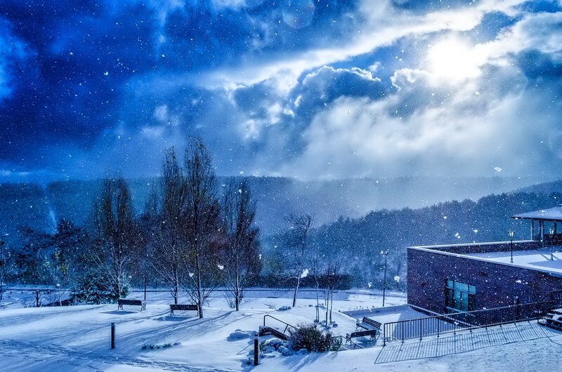 Snowy Park at Night — Blue, Dramatic