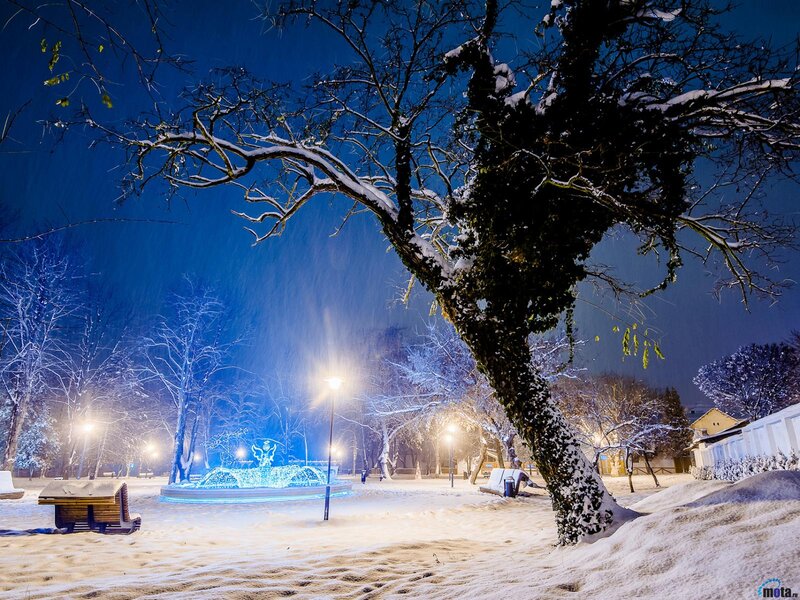 Snowy Park at Night — Blue, Serene