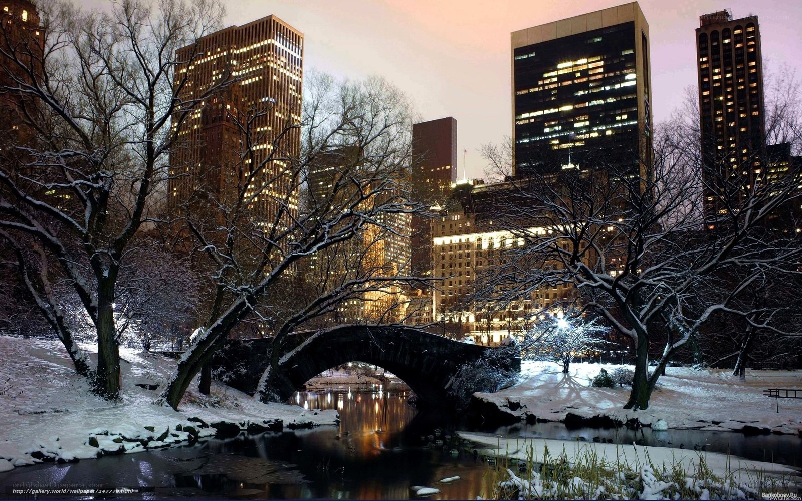 Snowy park at night in city