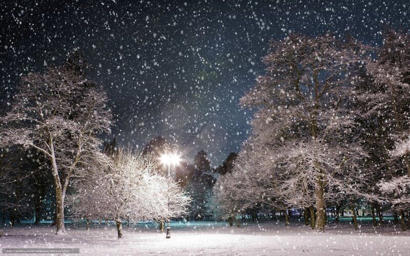 Snowy Park at Night — White