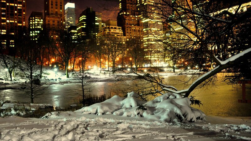 snowy park at night with city skyline