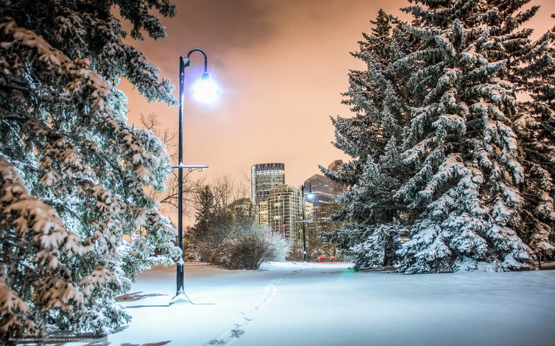 Snowy park at night with city skyline
