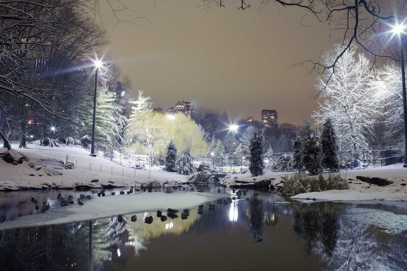 Snowy park at night with city view