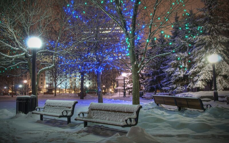Snowy park at night with lights