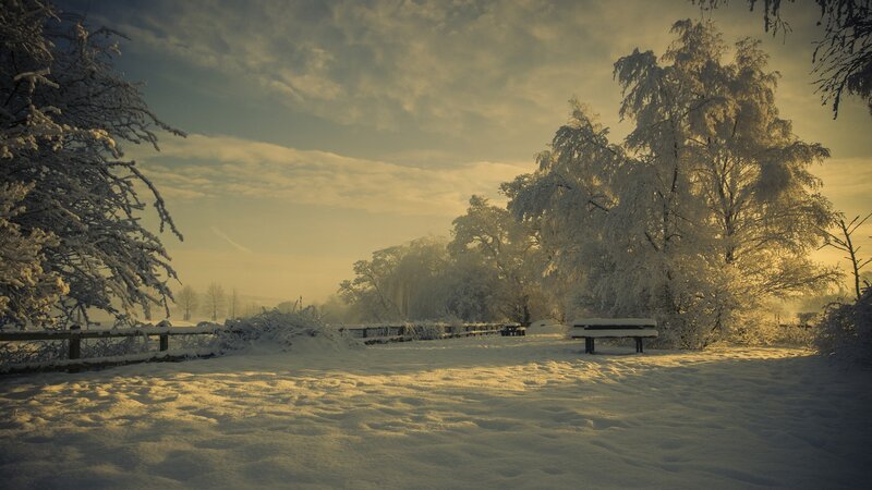 Snowy park at sunrise