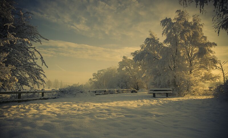 Snowy park at sunrise