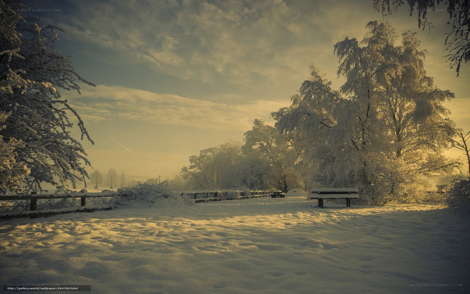 Snowy park at sunrise