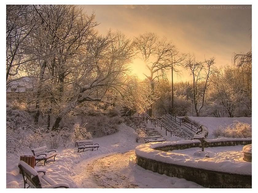 Snowy park at sunset