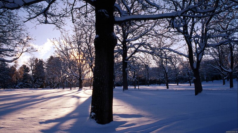 Snowy park at sunset