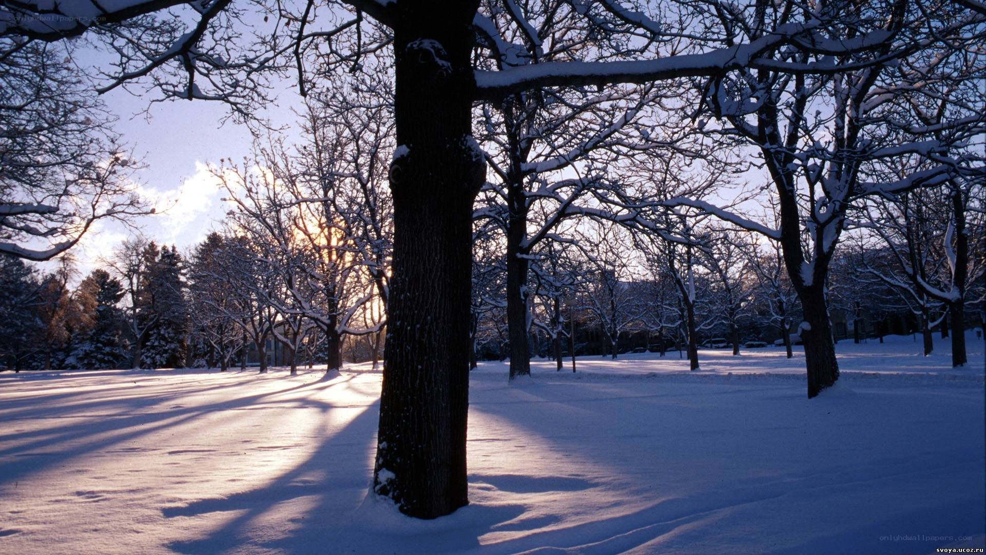Snowy park at sunset