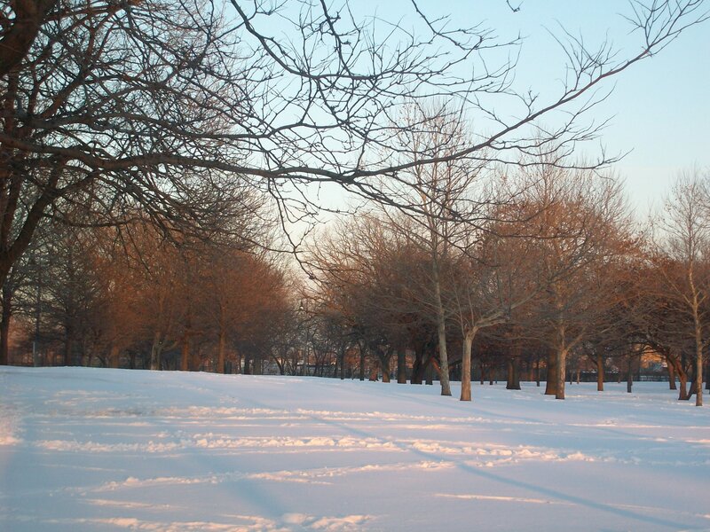 Snowy park at sunset