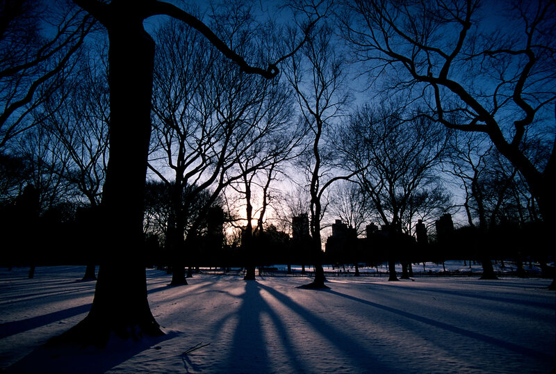 Snowy park at sunset