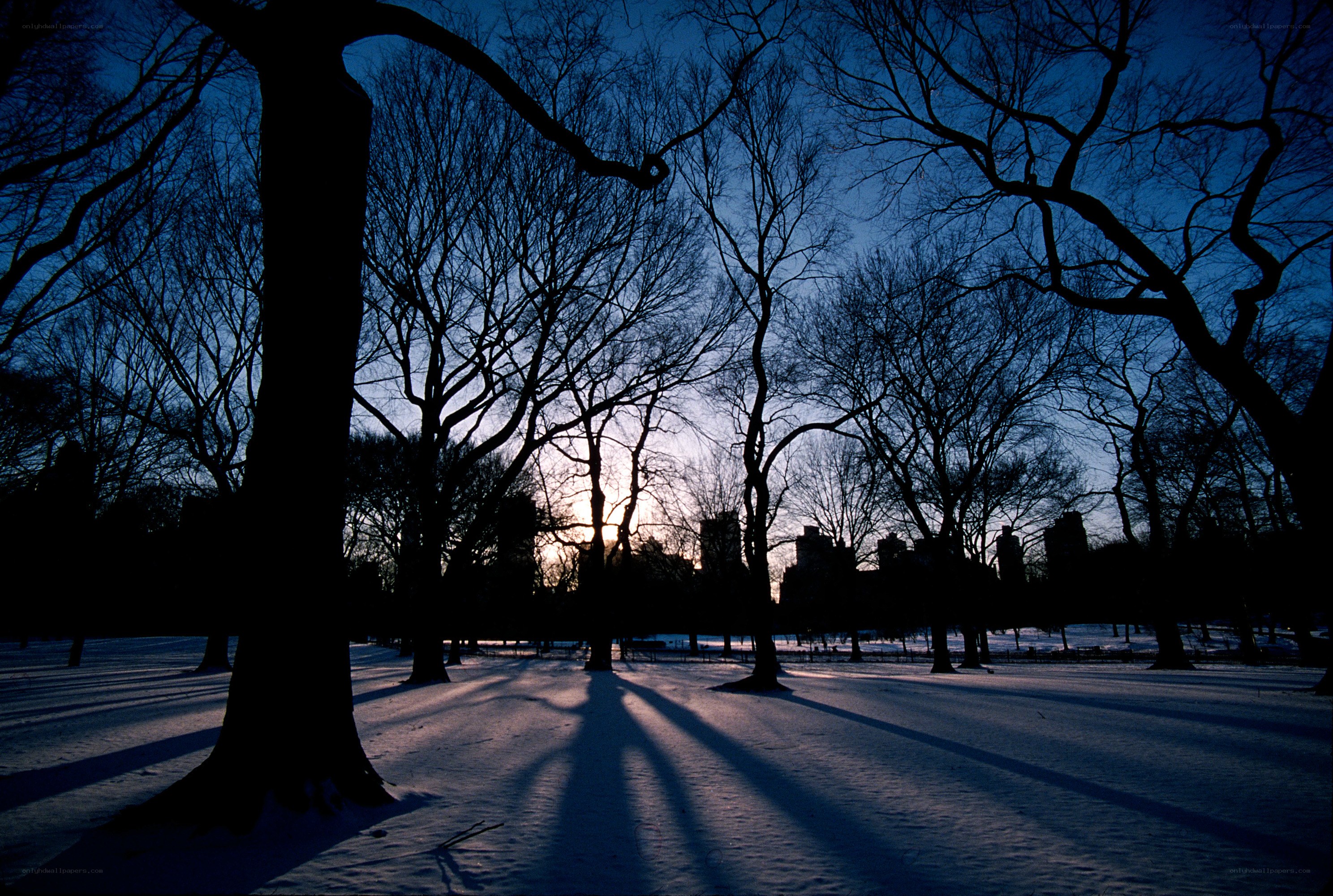 Snowy park at sunset