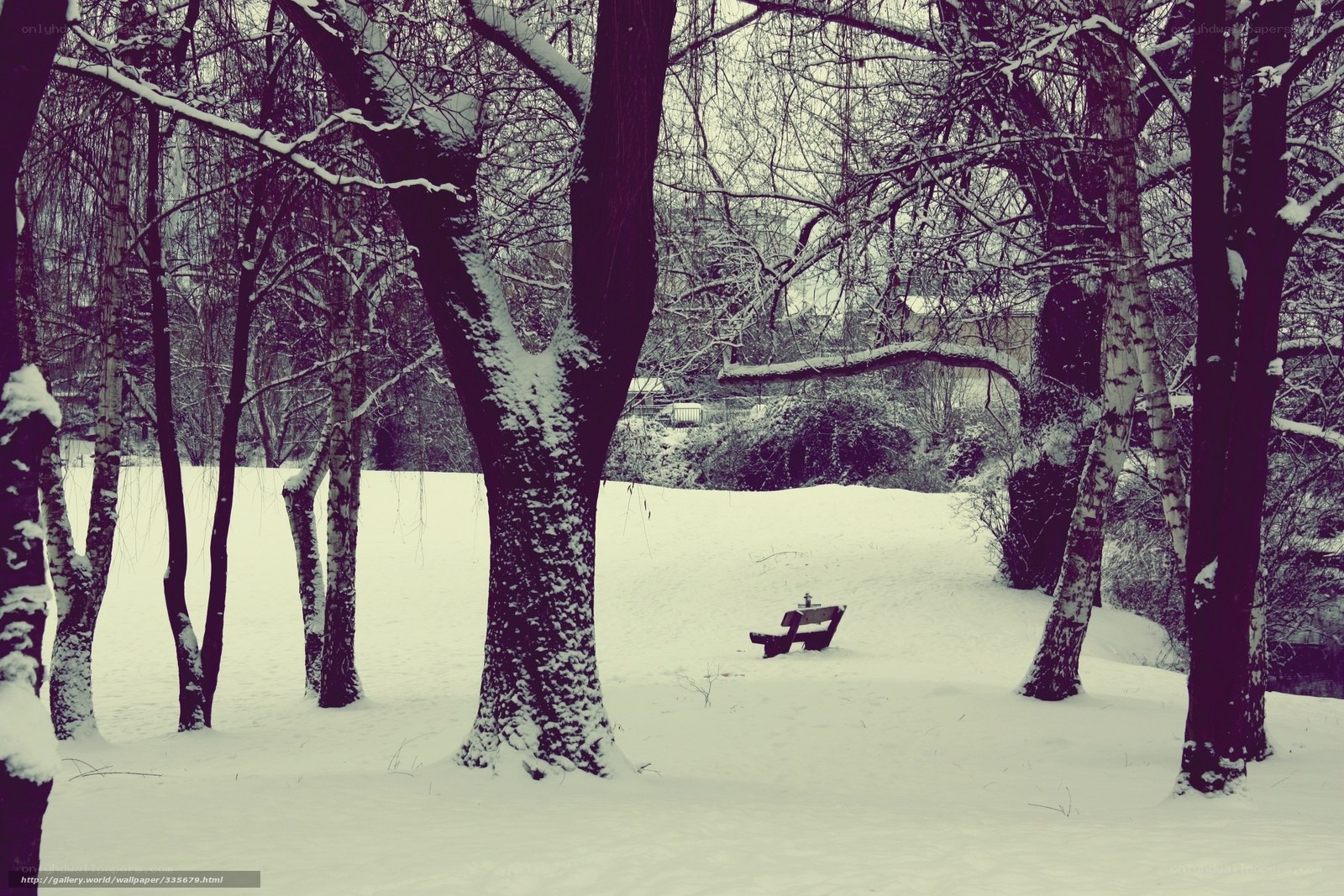 Snowy park bench