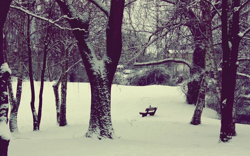 Snowy park bench