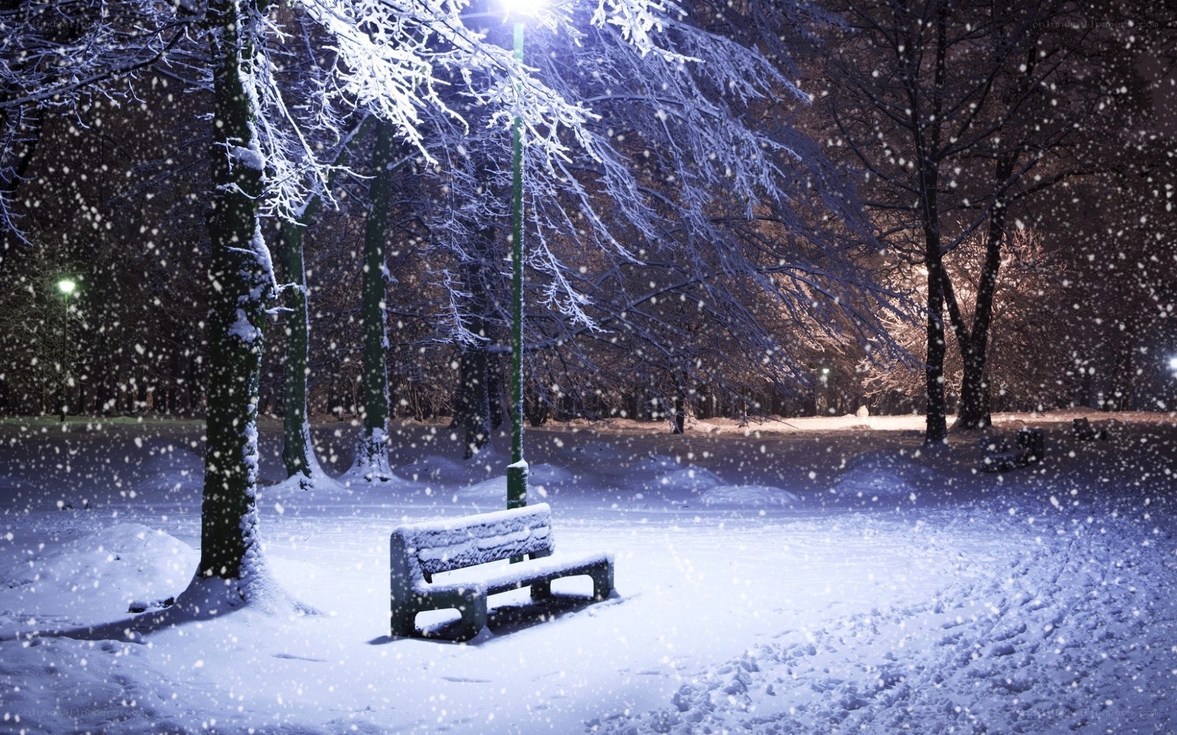 Snowy park bench at night