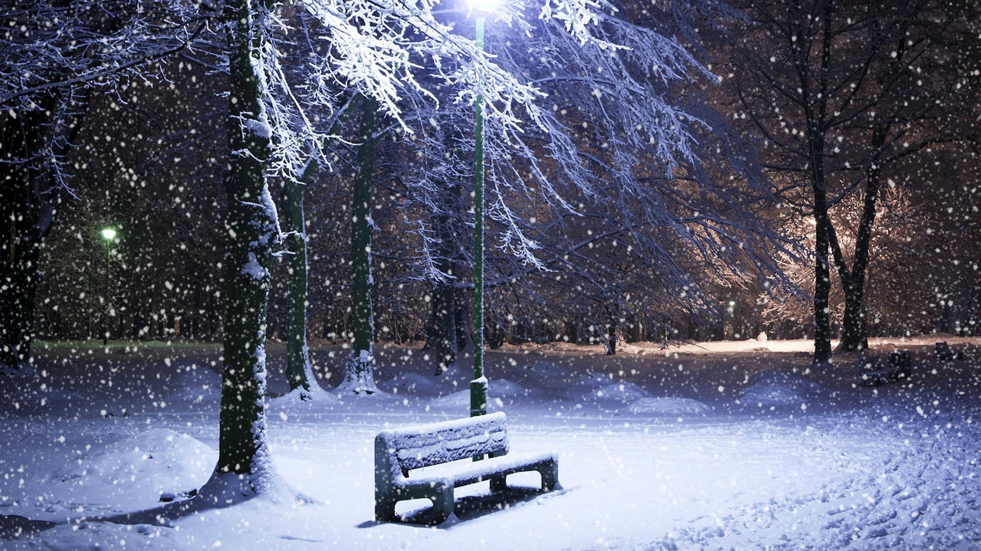 Snowy park bench at night