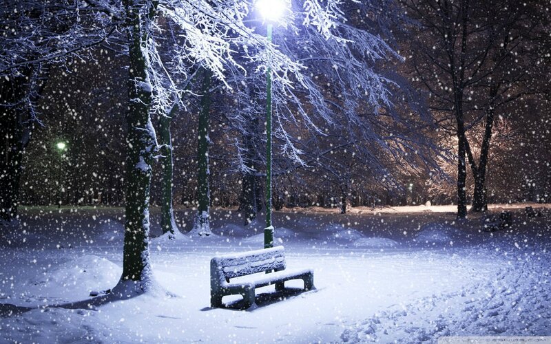Snowy park bench at night