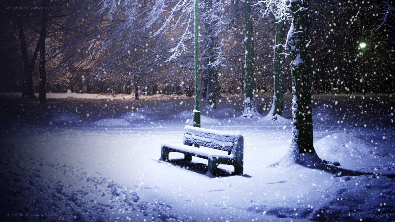 Snowy park bench at night