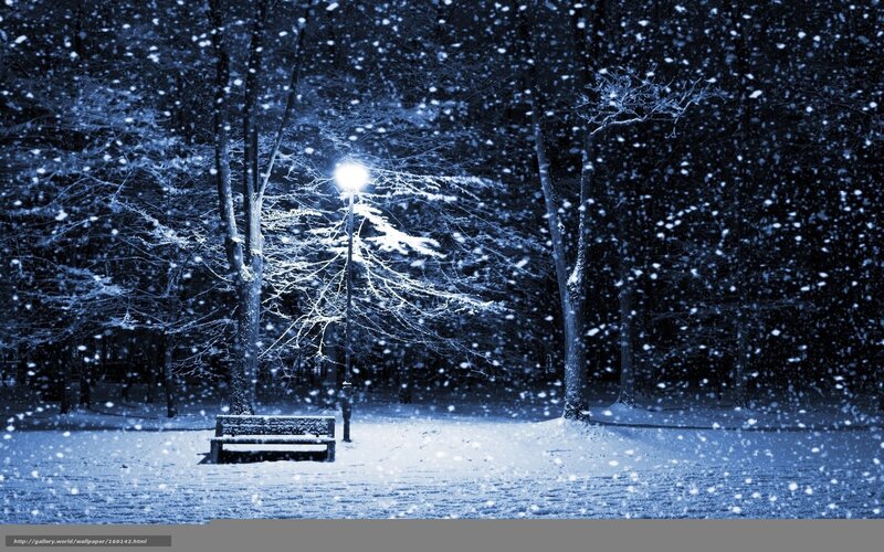 Snowy Park Bench at Night