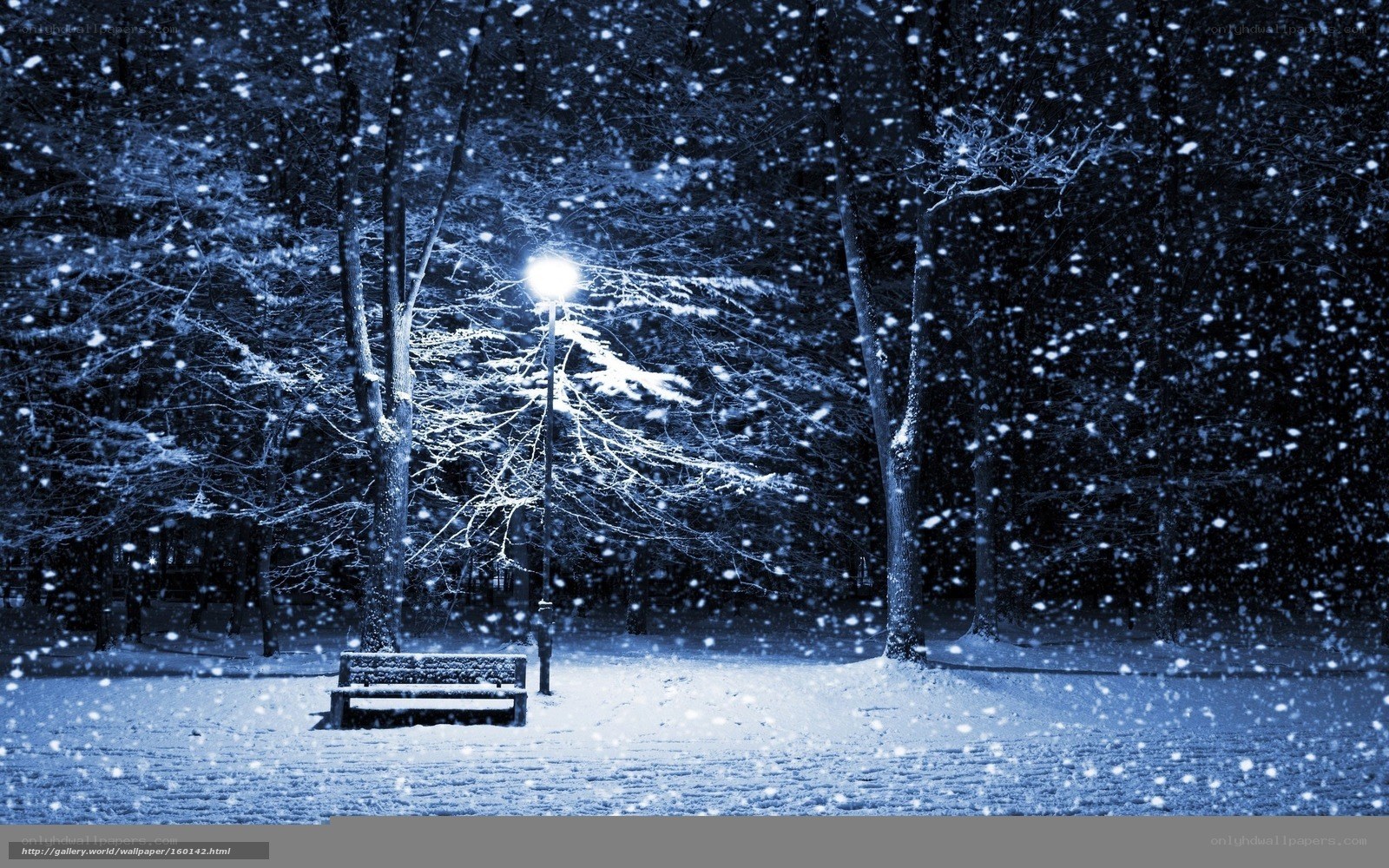 Snowy Park Bench at Night