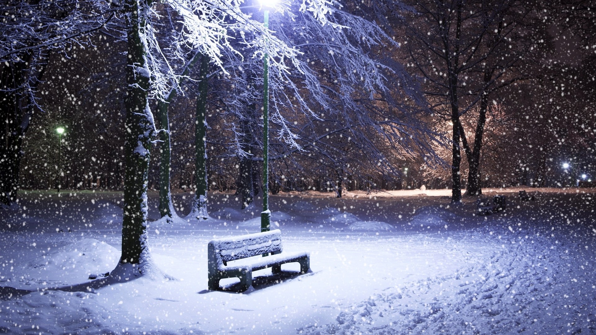 Snowy park bench at night