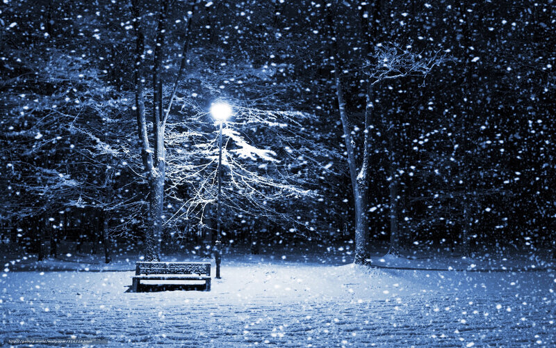 Snowy Park Bench at Night