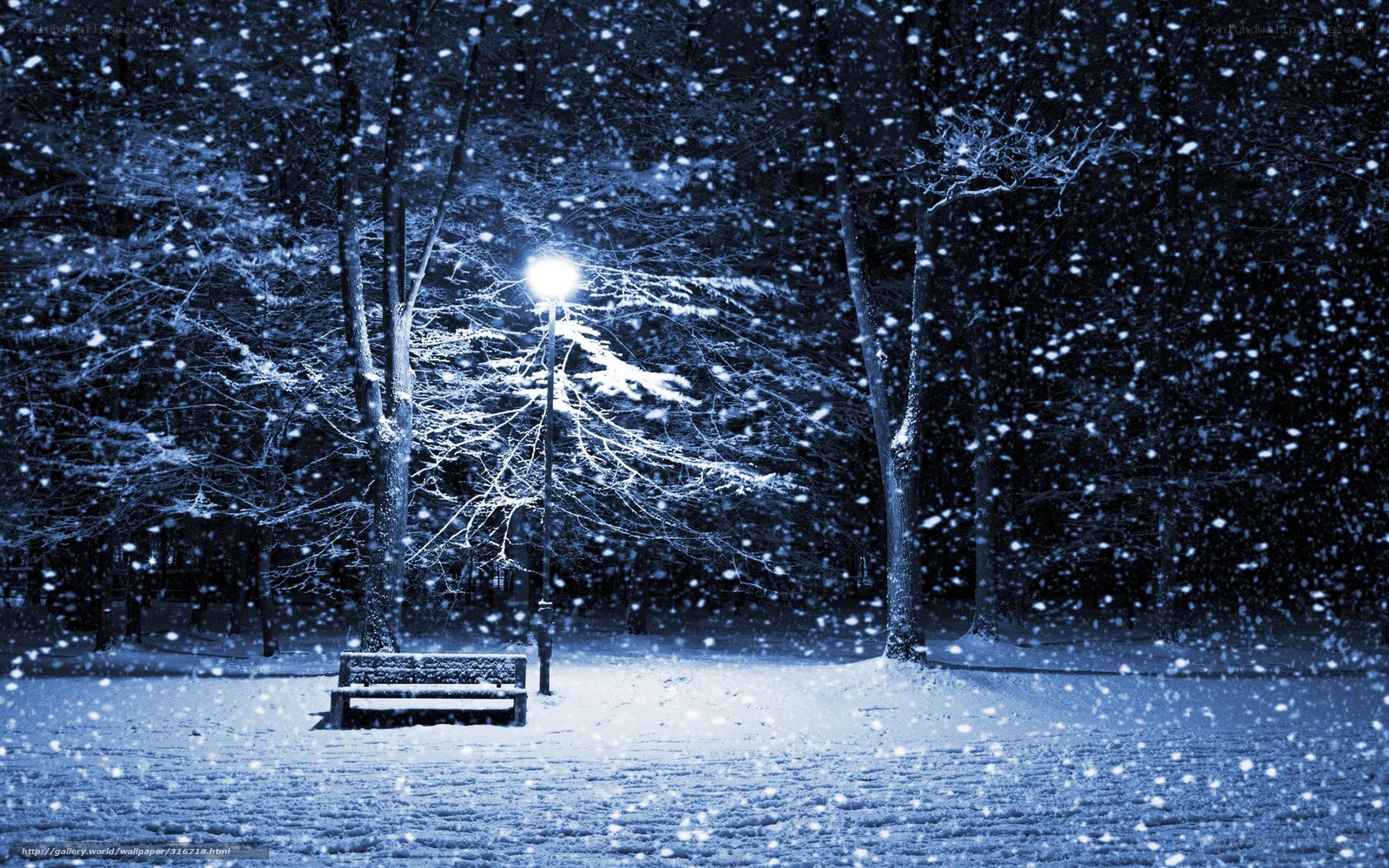 Snowy Park Bench at Night