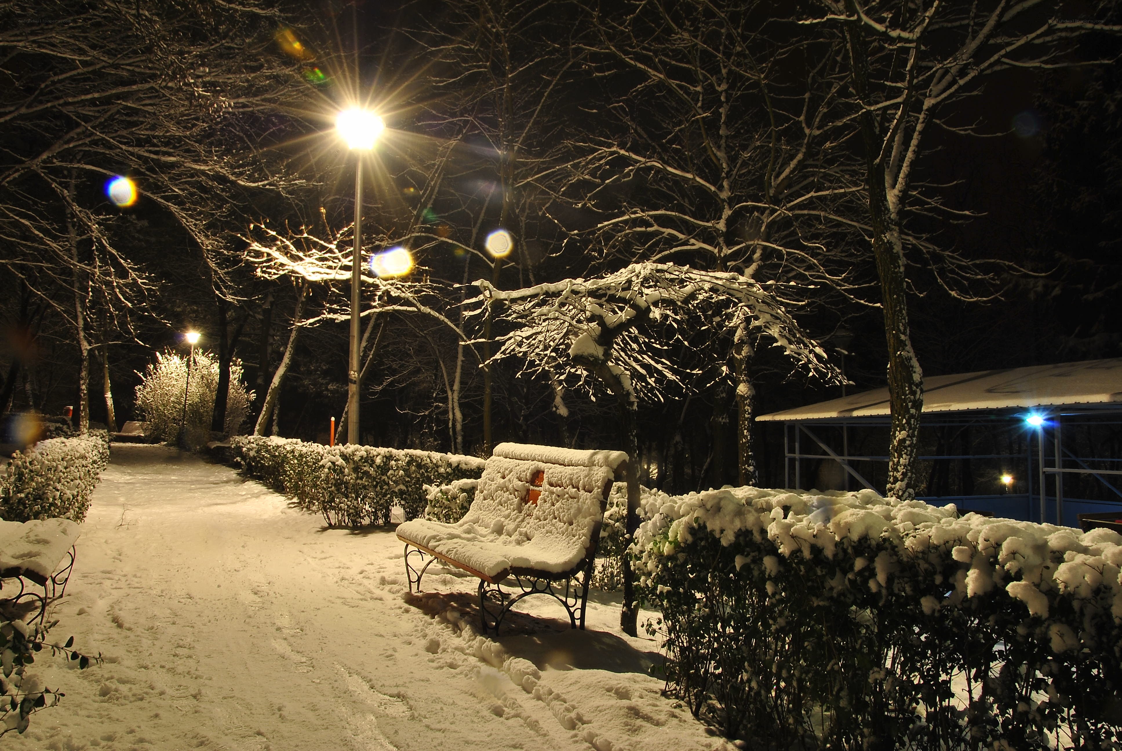 Snowy park bench at night