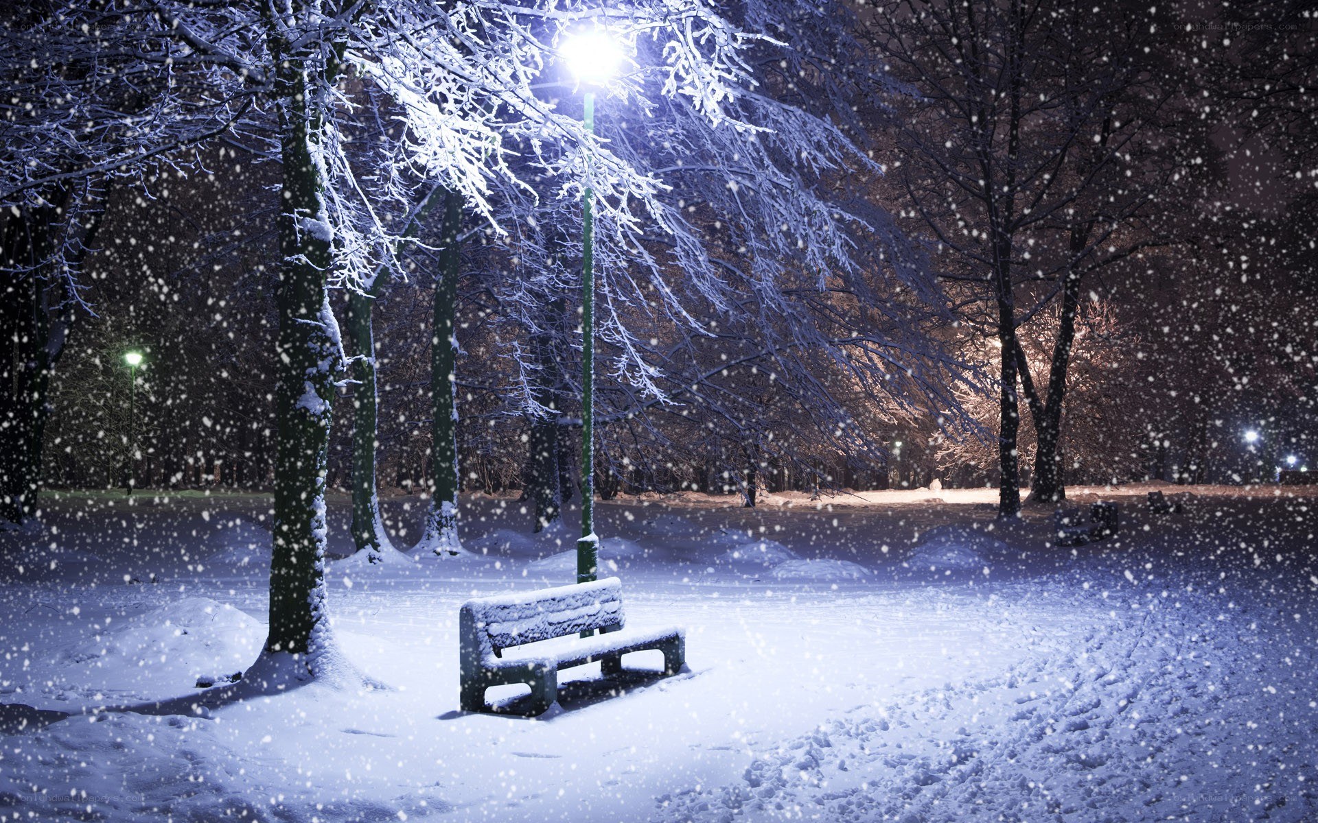 Snowy park bench at night
