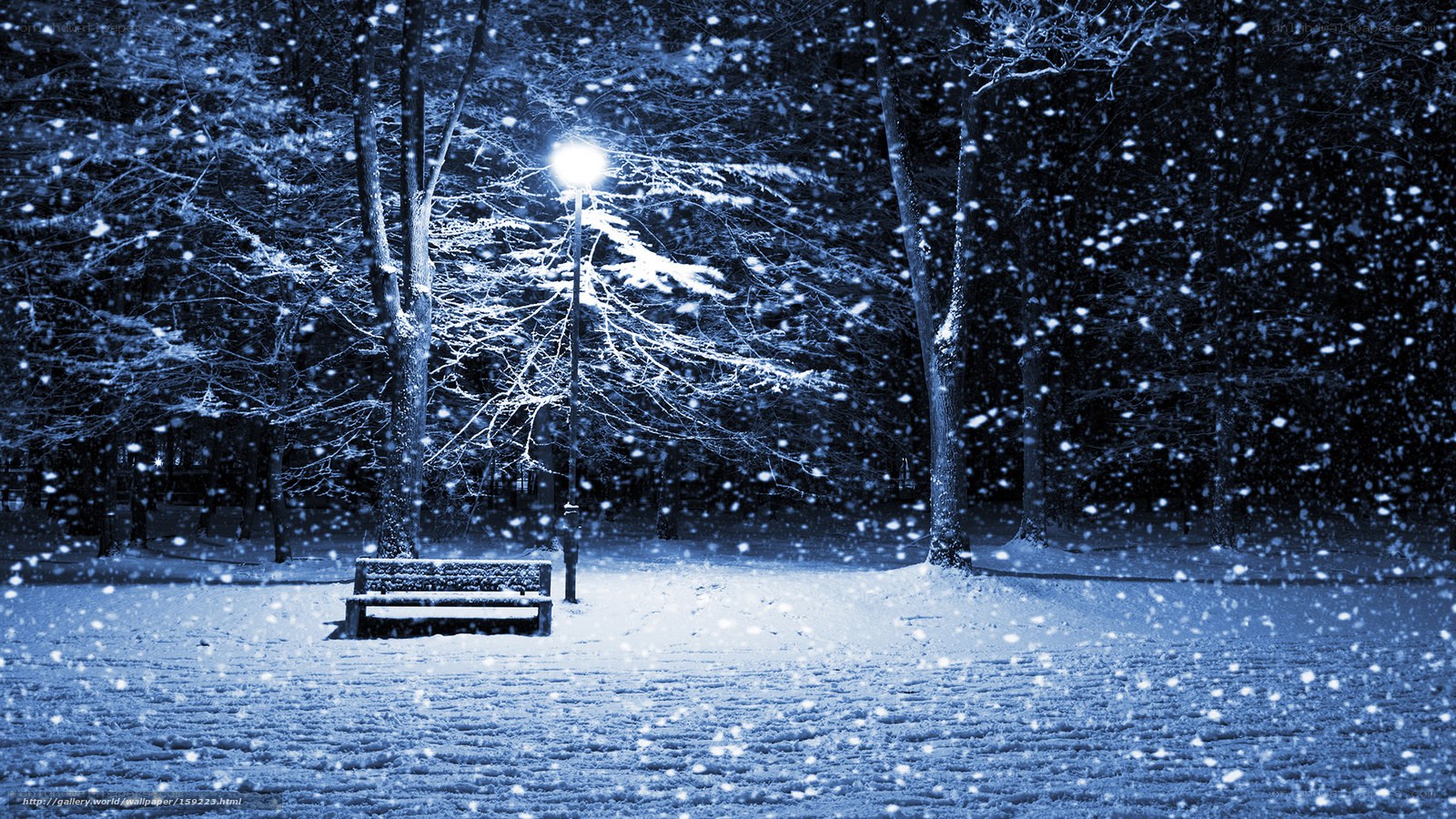 Snowy park bench at night