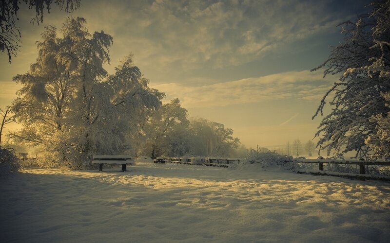 Snowy park bench at sunrise