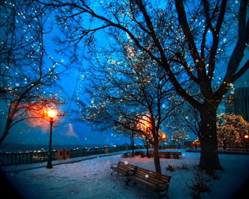 Snowy Park Bench — Blue, Serene, Night