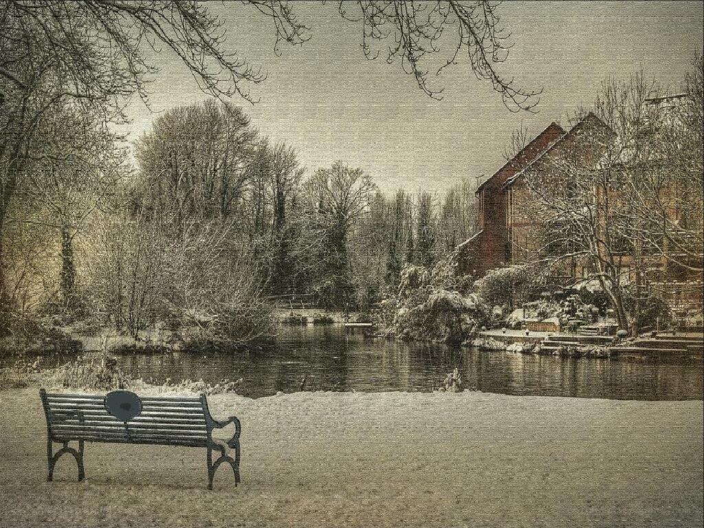 Snowy park bench by a pond