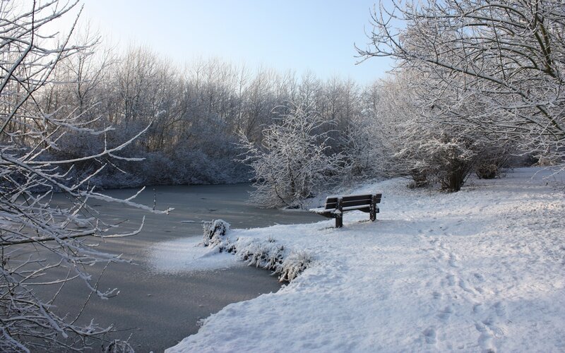 Snowy park bench by frozen pond