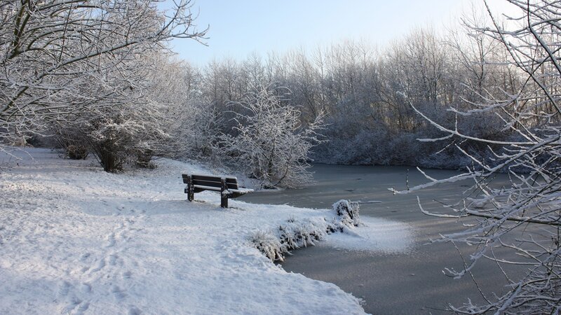 Snowy park bench by frozen pond