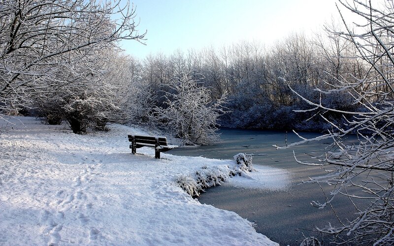 Snowy park bench by frozen pond