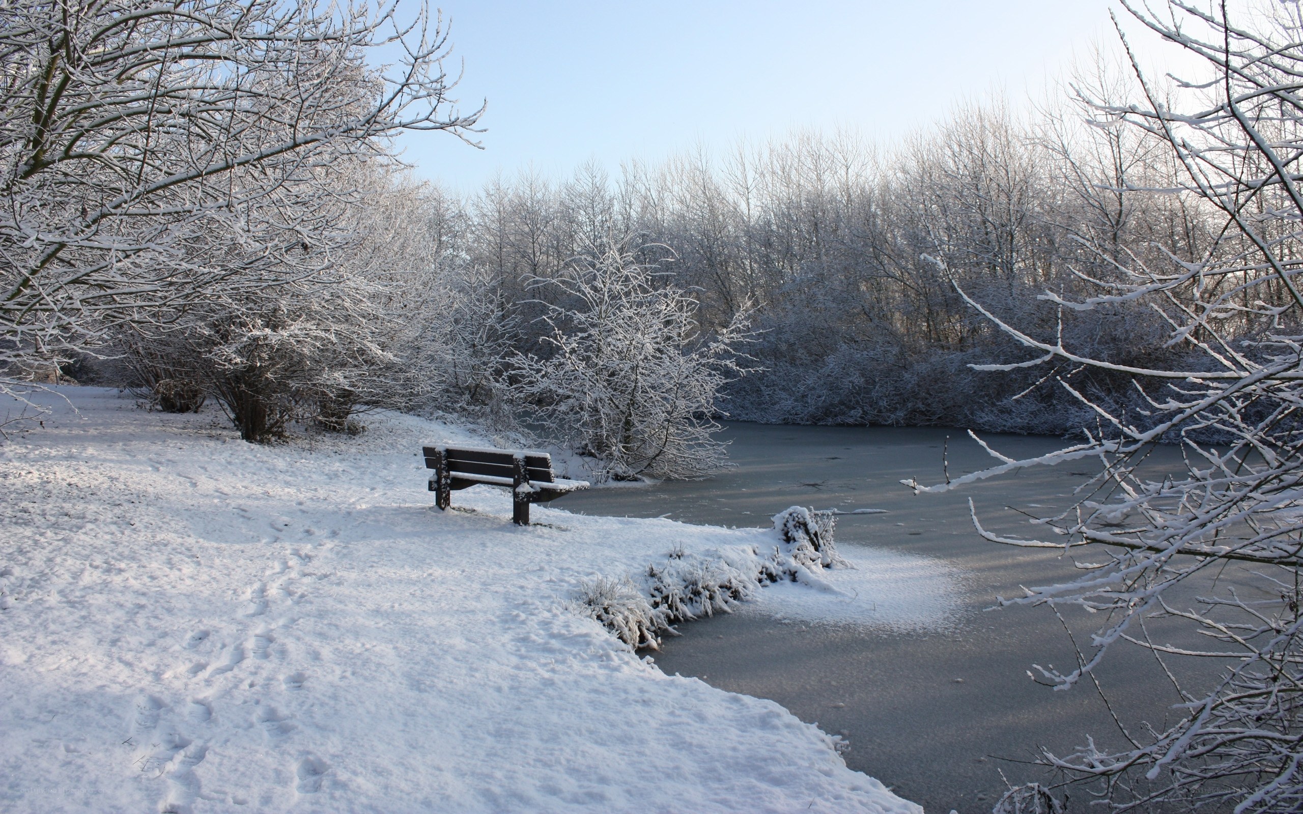 Snowy park bench by frozen pond