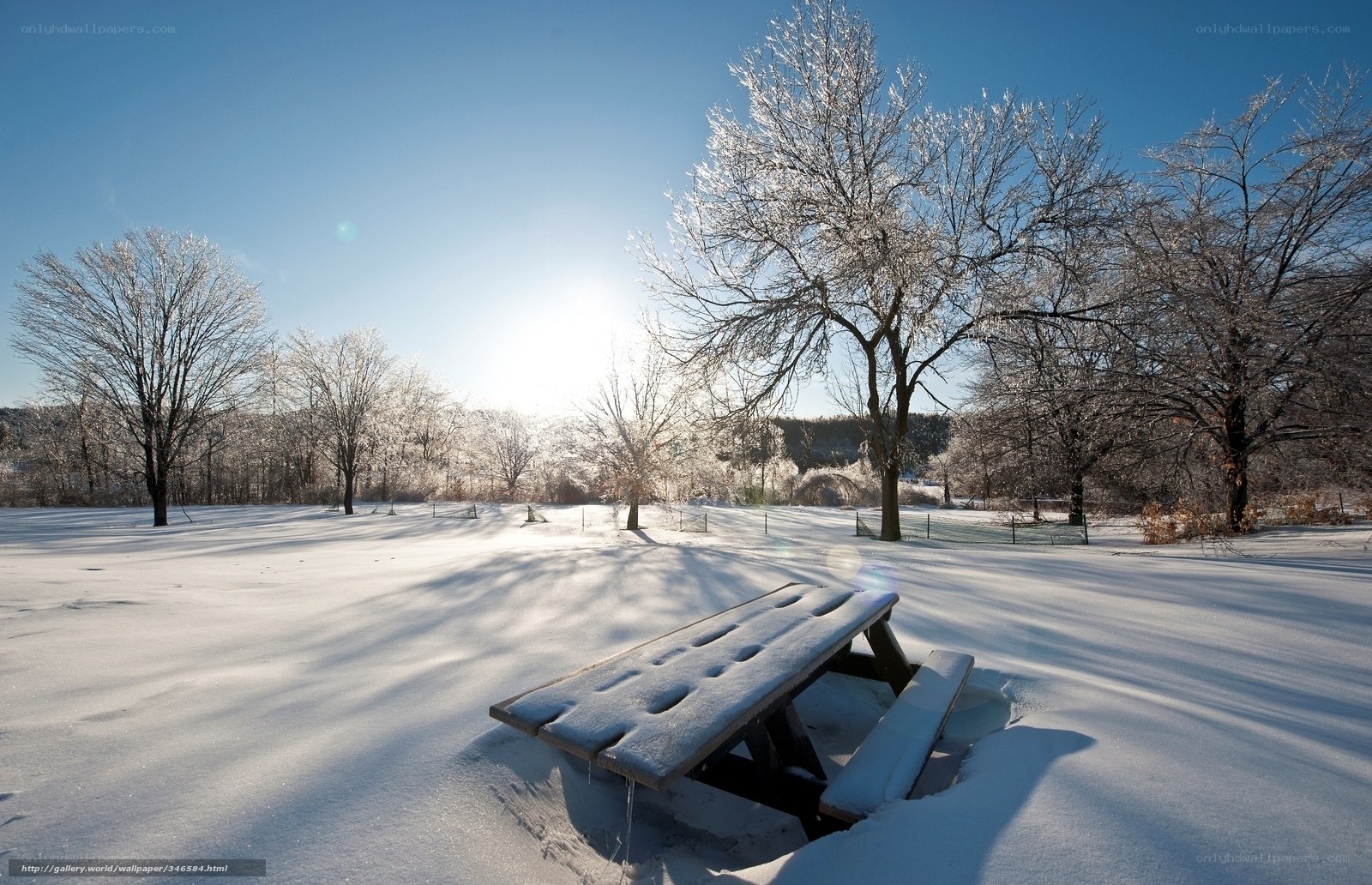 Snowy park bench in winter