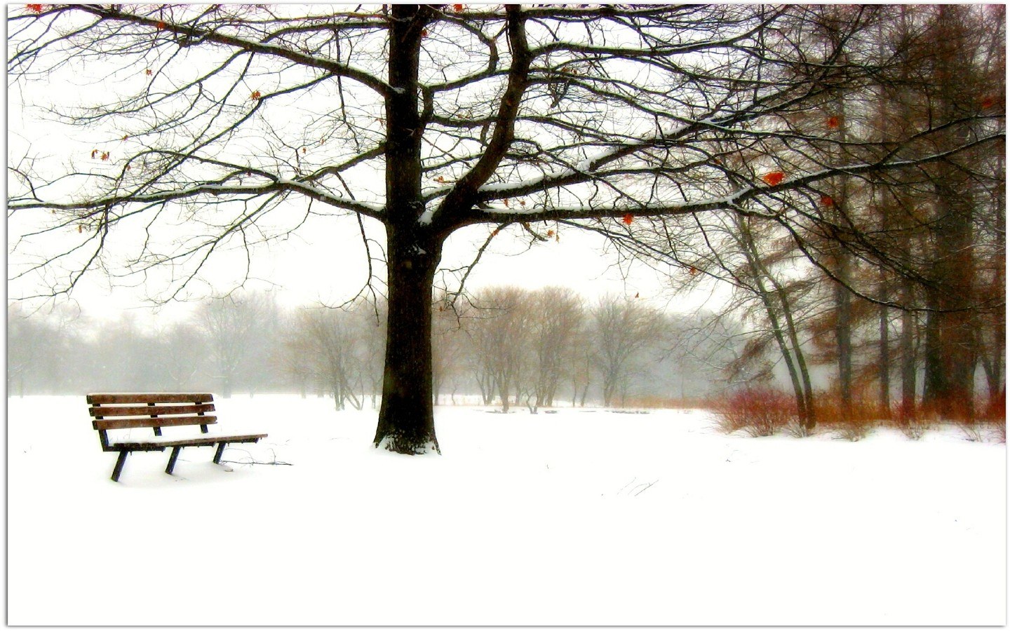 Snowy park bench scene